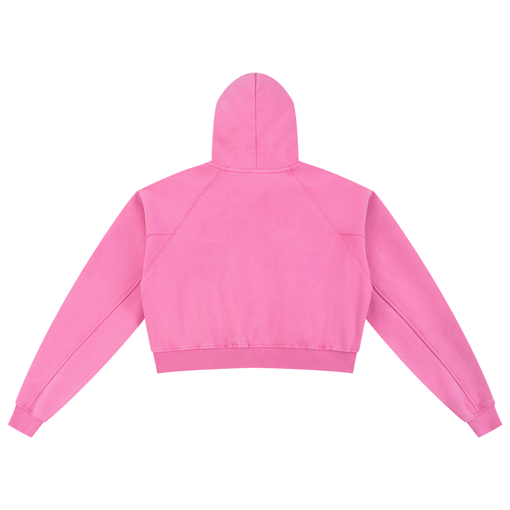 Snow Washed Cropped Hoodie